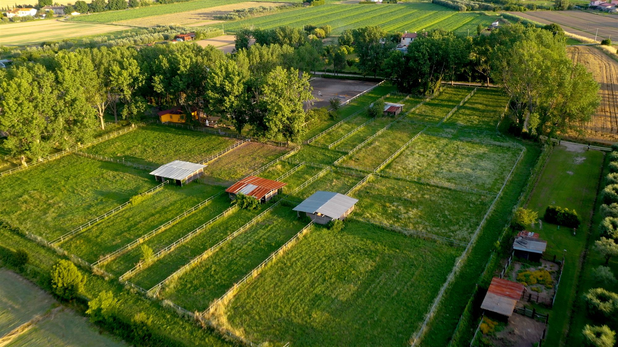 Aerial view of the Goldwing Equestrian Center grounds, arena, and paddocks