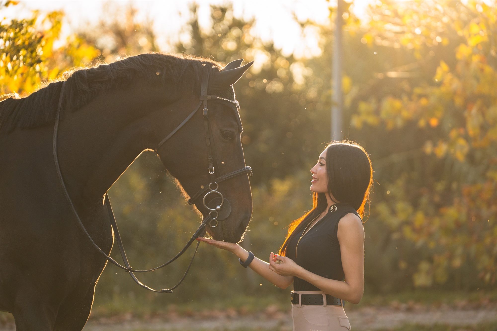 A rider greeting her horse at golden hour